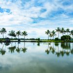 Kerala backwaters