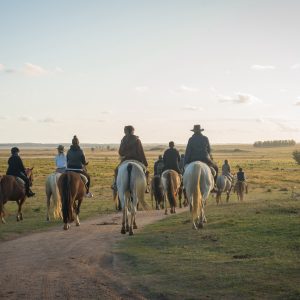 Horseback riding