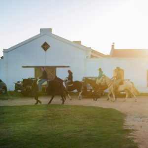 Horseback riding